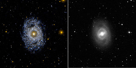 NGC 3351 (M95)