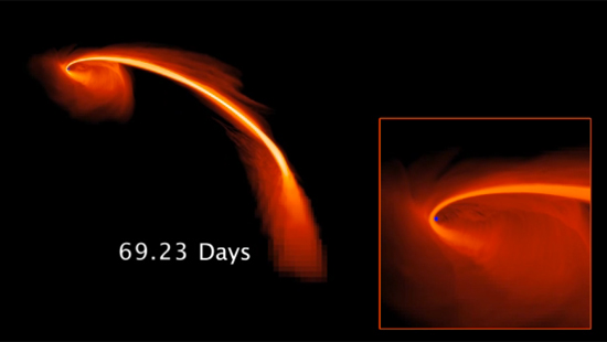 Black Hole Flare Simulation